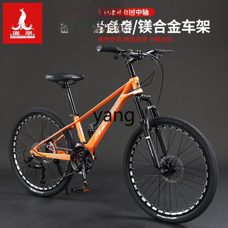 LTT Magnesium Alloy Male and F - đánh giá và giá Mountain Biking Youth