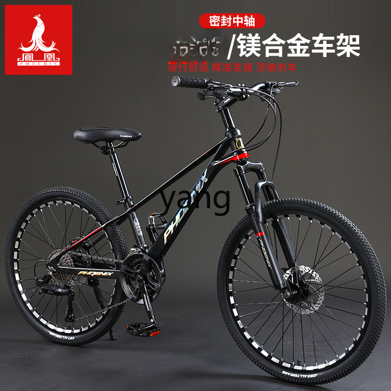 LTT Magnesium Alloy Male and F - đánh giá và giá Mountain Biking Youth