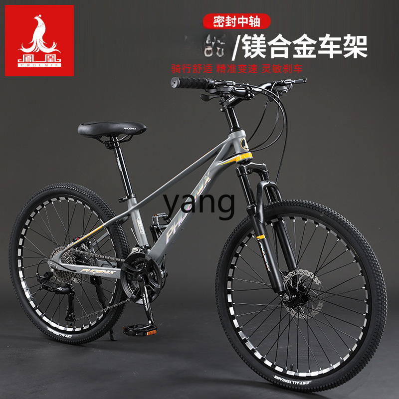 LTT Magnesium Alloy Male and F - đánh giá và giá Mountain Biking Youth
