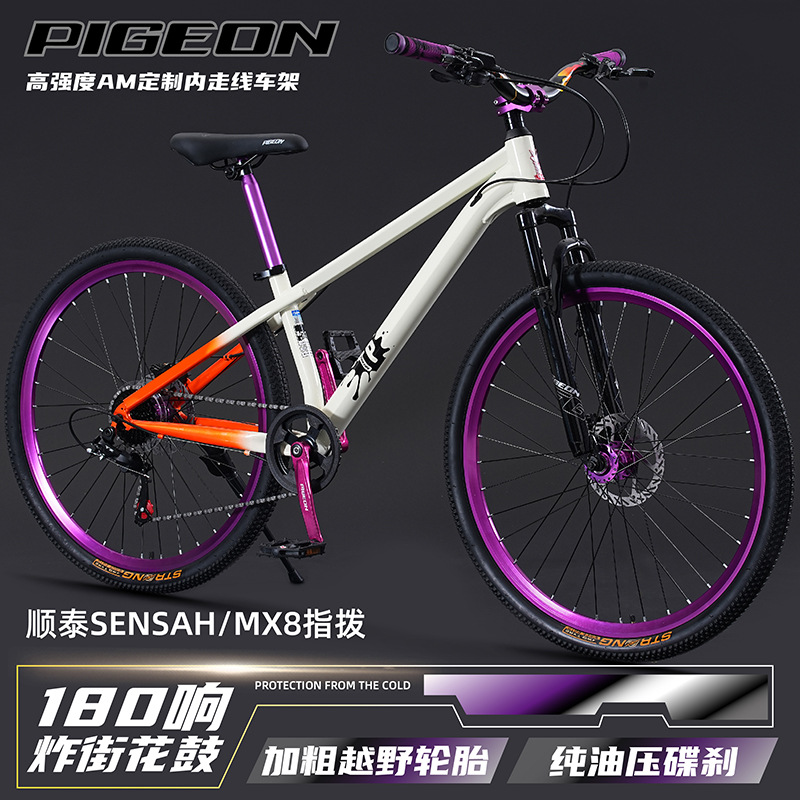 Mountain bike  youth & adult   - đánh giá và giá Mountain Biking Youth
